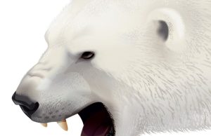 En las garras de un oso polar Revista Selecciones