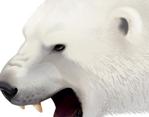 En las garras de un oso polar