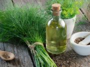 ¿Qué usos culinarios y médicos tiene el Eneldo?