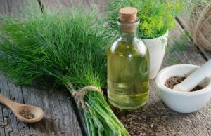 ¿Qué usos culinarios y médicos tiene el Eneldo? Revista Selecciones