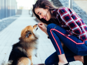 Enseñe bien a su perro