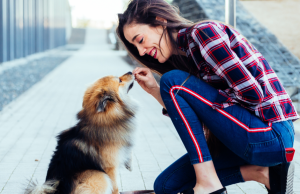 Enseñe bien a su perro Revista Selecciones