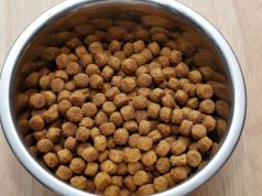 ¿Sabe qué contiene el alimento de su mascota?