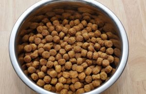 ¿Sabe qué contiene el alimento de su mascota? Revista Selecciones