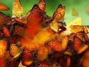 Estrategias de ataque y defensa