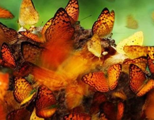 Estrategias de ataque y defensa