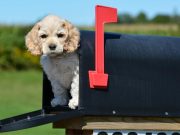 Ideas locas… ¡que funcionaron!