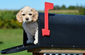 Ideas locas… ¡que funcionaron! Revista Selecciones