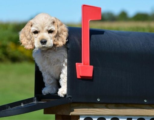 Ideas locas… ¡que funcionaron!