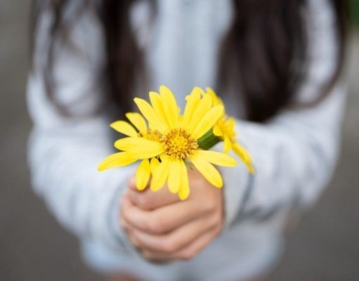 La ciencia de ser amable