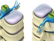 La «Fábrica de sangre»