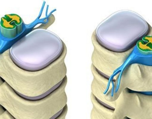 La «Fábrica de sangre»