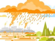 La lluvia ácida la-lluvia-acida-2065-mainImage-0