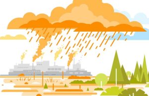 La lluvia ácida la-lluvia-acida-2065-mainImage-0