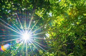 ¿La luz solar está compuesta de muchos colores? Revista Selecciones
