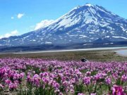 La maravillosa Laguna del Diamante, el niño y el aviateur