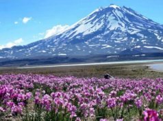 La maravillosa Laguna del Diamante, el niño y el aviateur