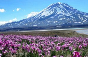 La maravillosa Laguna del Diamante, el niño y el aviateur Revista Selecciones
