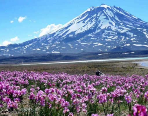 La maravillosa Laguna del Diamante, el niño y el aviateur