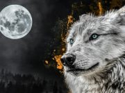 La verdad acerca de mitos refutados