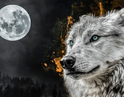 La verdad acerca de mitos refutados