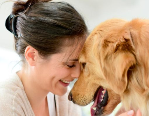 Las cosas que nunca cambian