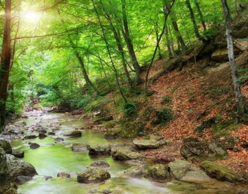 Las etapas de la vida de un río las-etapas-de-la-vida-de-un-rio-2183-mainImage-0