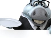 Las más curiosas preguntas del mundo animal