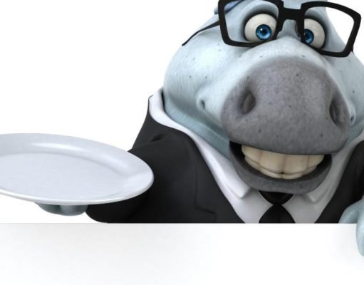 Las más curiosas preguntas del mundo animal