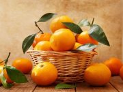 Las mimadas del otoño: ¡bienvenidas mandarinas!