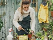 Las plantas aumentan y benefician su felicidad