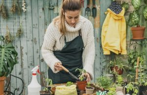Las plantas aumentan y benefician su felicidad Revista Selecciones