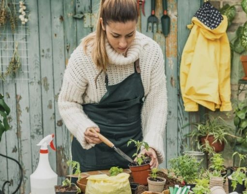 Las plantas aumentan y benefician su felicidad