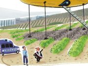 Las reglas más locas del mundo