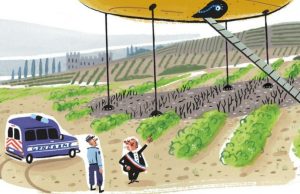 Las reglas más locas del mundo Revista Selecciones