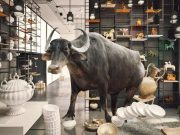 Los 10 mejores chistes de torpes y torpezas