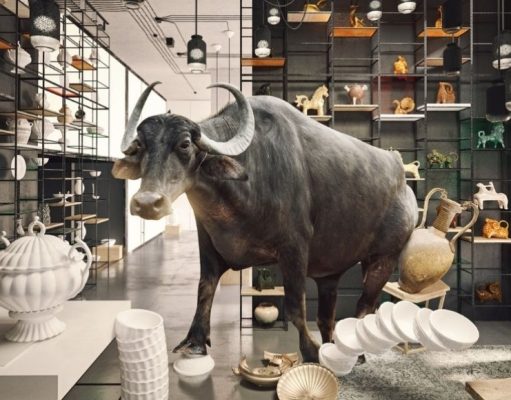 Los 10 mejores chistes de torpes y torpezas