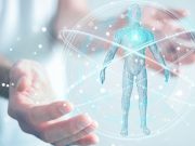 Los bloques constitutivos del cuerpo humano