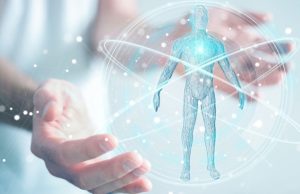 Los bloques constitutivos del cuerpo humano Revista Selecciones