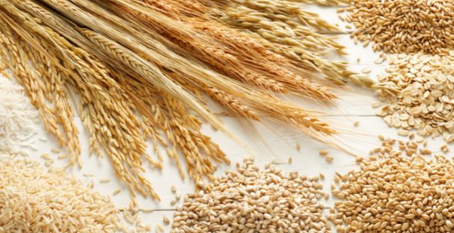 los-cereales-que-alimentan-al-mundo-1452-mainImage-0
