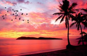 Los colores del cielo cielo de color