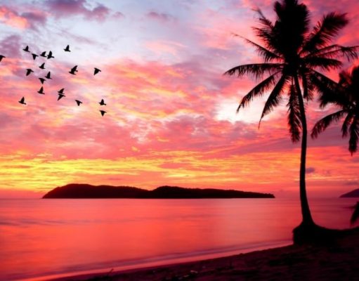 Los colores del cielo cielo de color