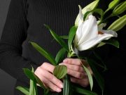 Los colores del luto los-colores-del-luto-2544-mainImage-0