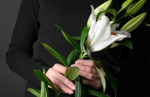 Los colores del luto los-colores-del-luto-2544-mainImage-0