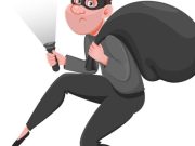 Los delincuentes más tontos del mundo