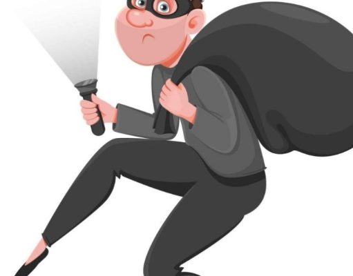 Los delincuentes más tontos del mundo