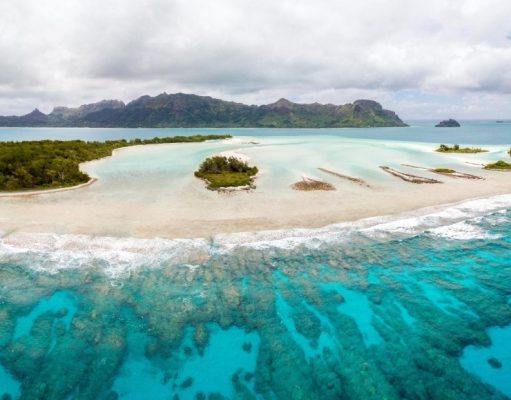 Los exploradores polinesios