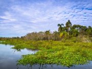 Los lugares más azules de Argentina