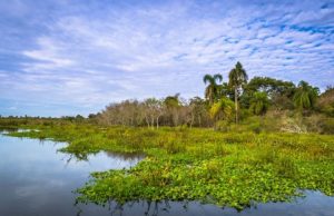 Los lugares más azules de Argentina Revista Selecciones
