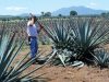 Los secretos del tequila Revista Selecciones